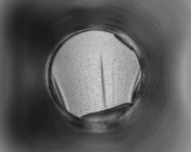X0000087601143200705181232