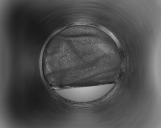 X0000087601146200705181232