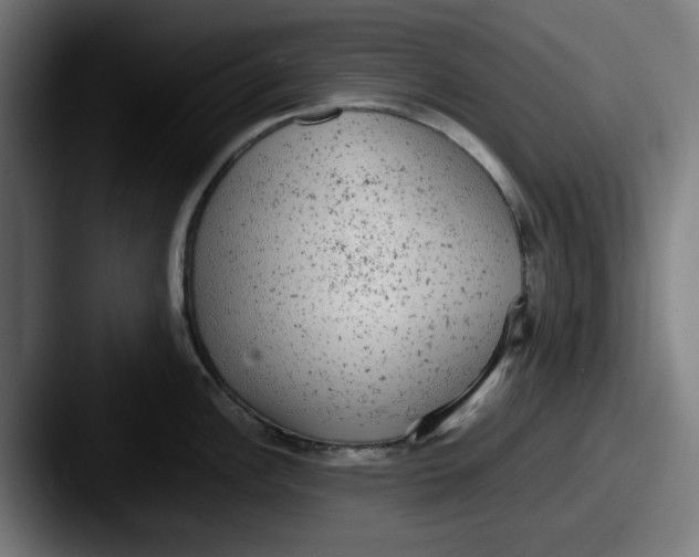 X0000087601148200705181233