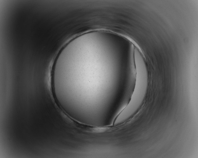 X0000087601151200705181233
