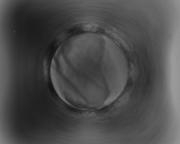 X0000087601154200705181232
