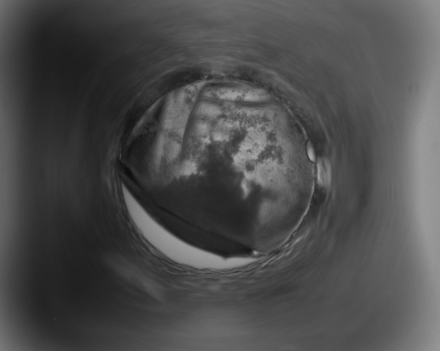 X0000087601155200705181232