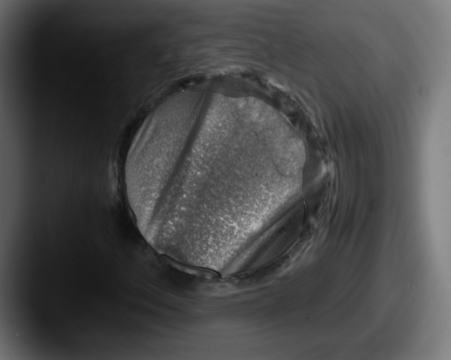 X0000087601156200705181232