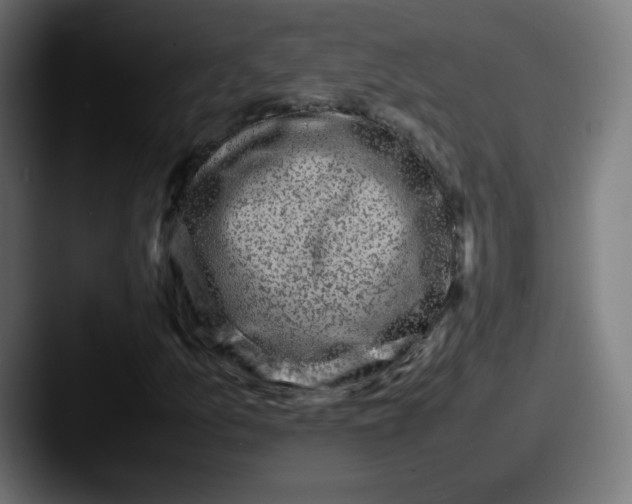X0000087601157200705181232
