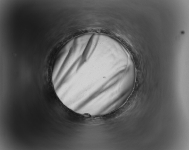 X0000087601159200705181232