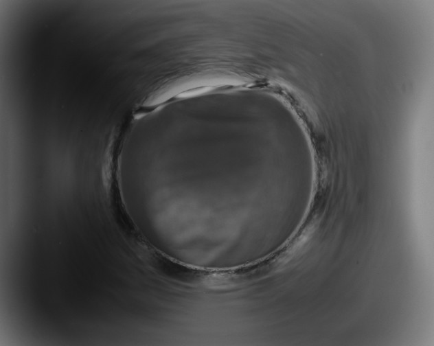 X0000087601161200705181232