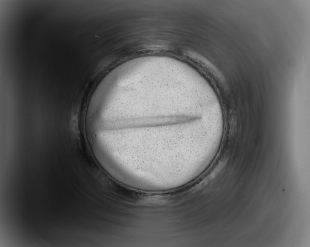 X0000087601162200705181232