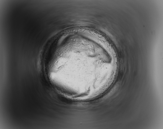 X0000087601163200705181232