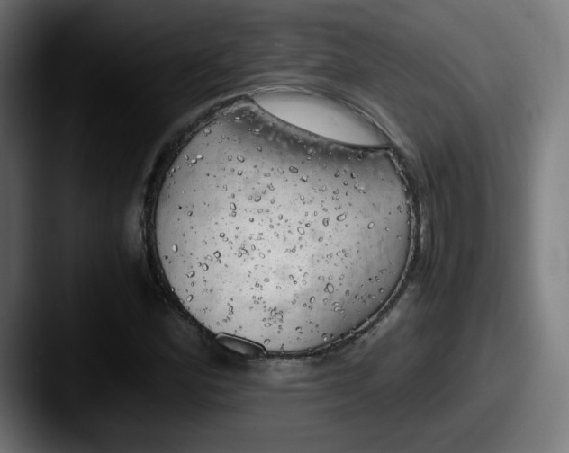 X0000087601164200705181232