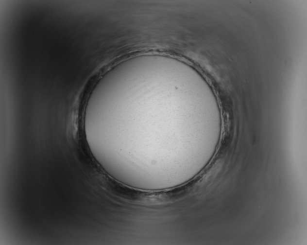 X0000087601165200705181232