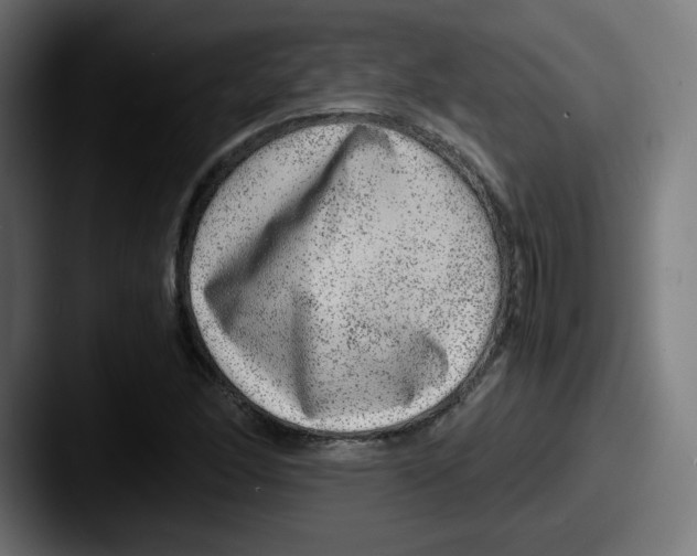 X0000087601166200705181232