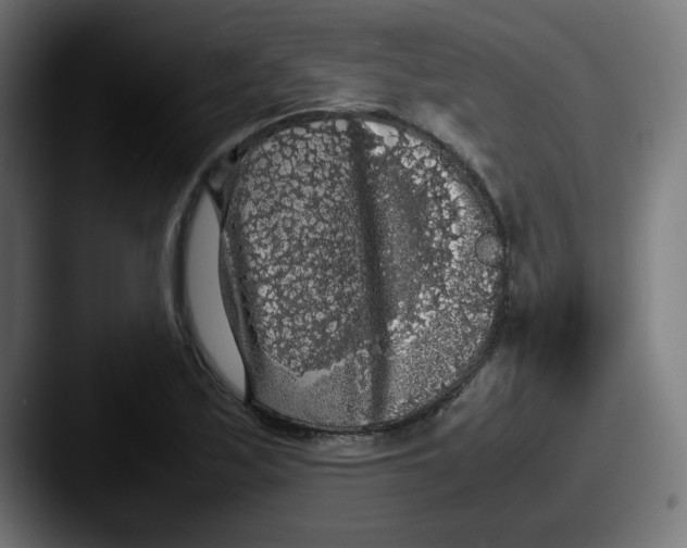 X0000087601171200705181232