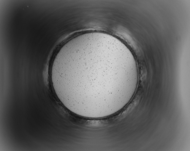 X0000087601172200705181232