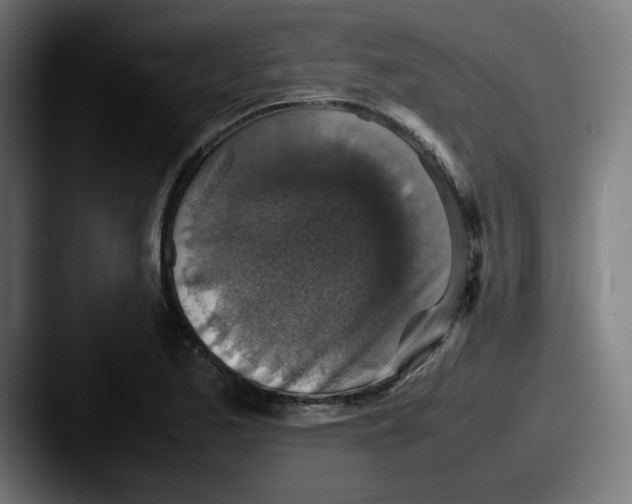 X0000087601173200705181232
