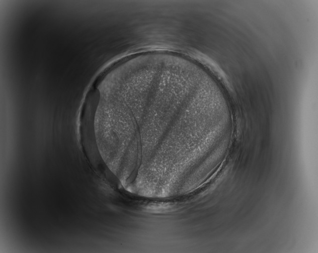 X0000087601174200705181232