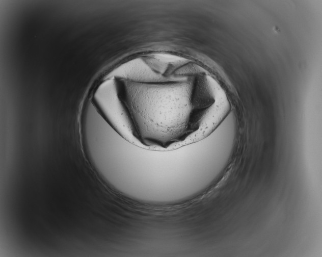 X0000087601176200705181232
