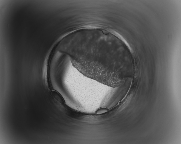 X0000087601179200705181232