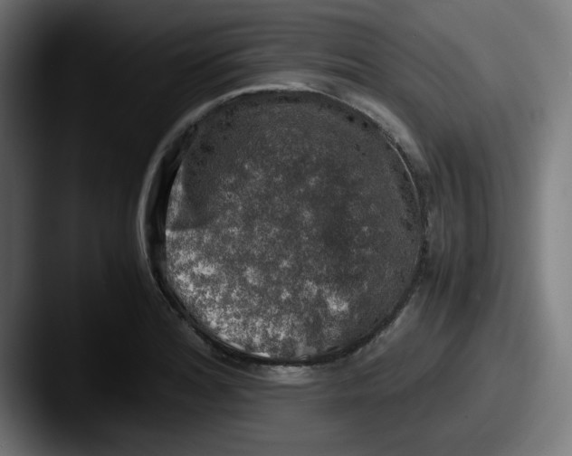 X0000087601180200705181232