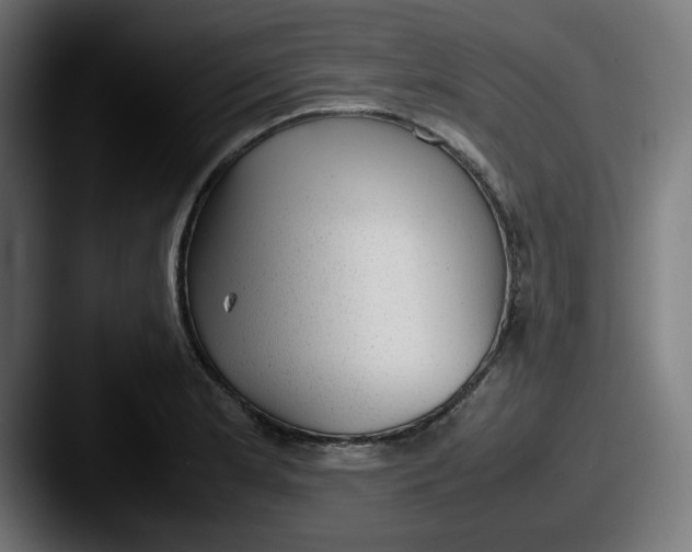 X0000087601181200705181232
