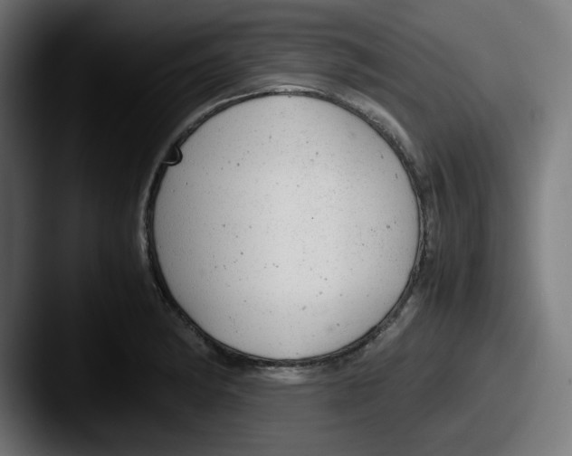 X0000087601182200705181232