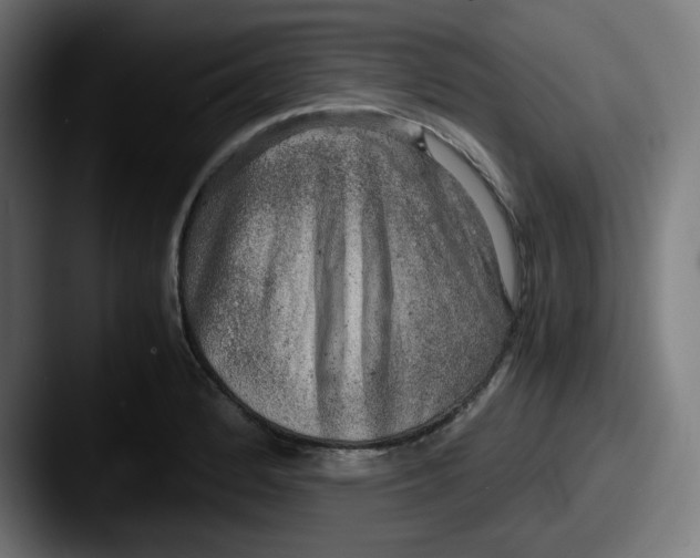 X0000087601184200705181232
