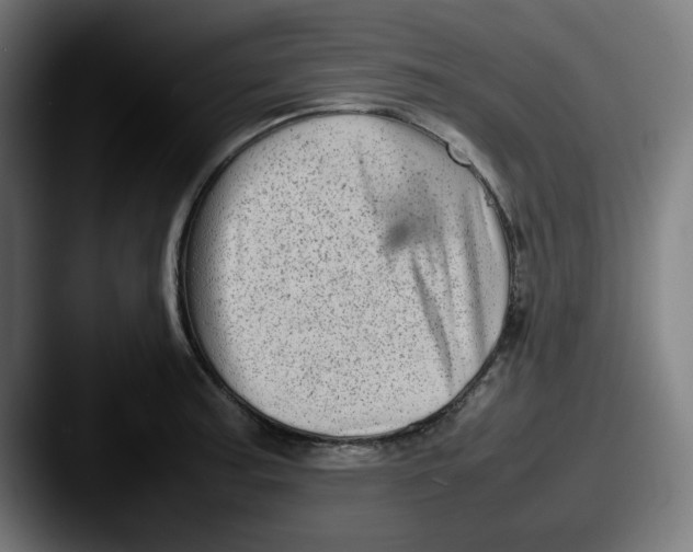 X0000087601187200705181232