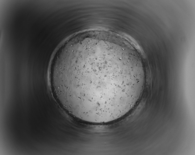 X0000087601188200705181232