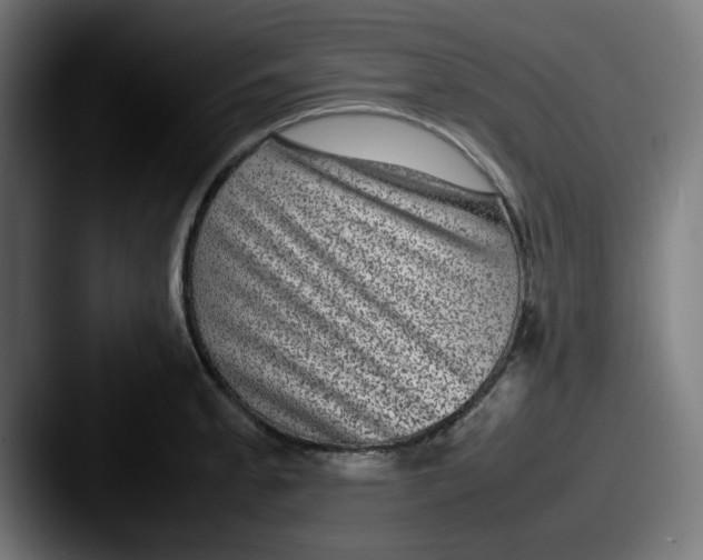 X0000087601189200705181232
