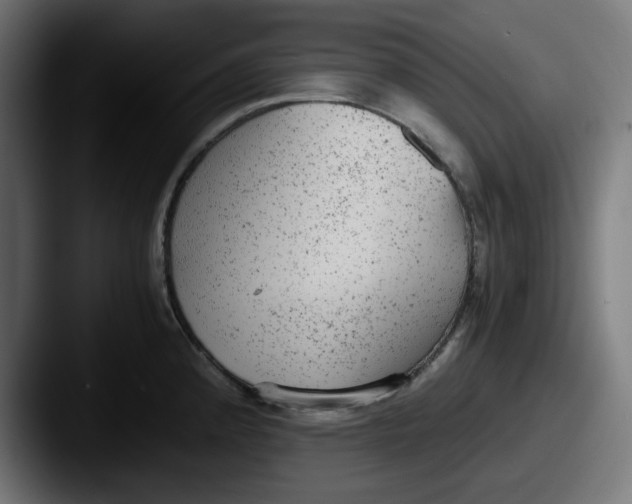 X0000087601192200705181232