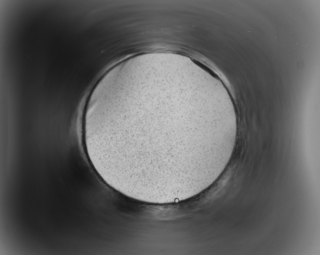 X0000087601195200705181232