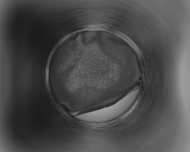 X0000087601196200705181231