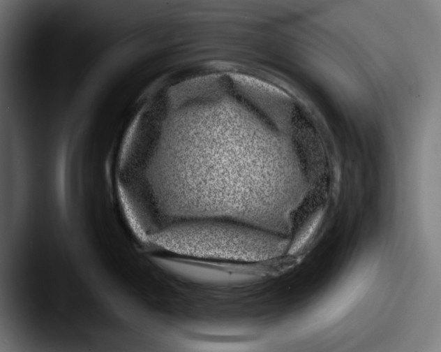 X0000087601198200705181231