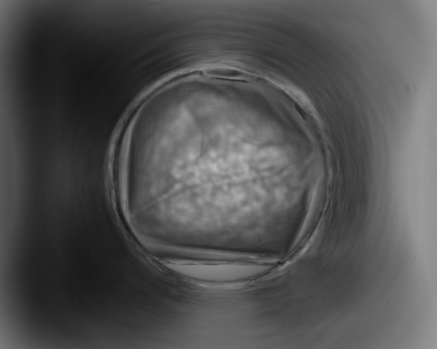 X0000087601200200705181231