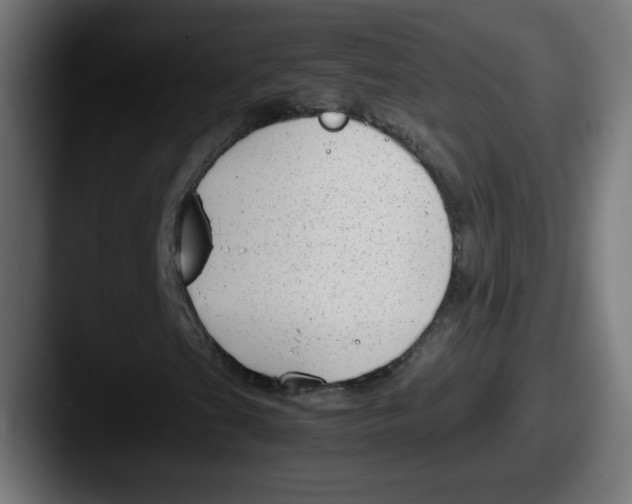 X0000087601201200705181231