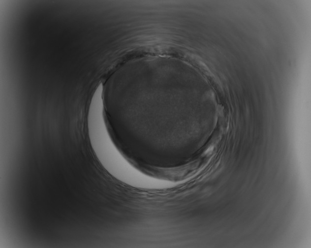X0000087601202200705181231