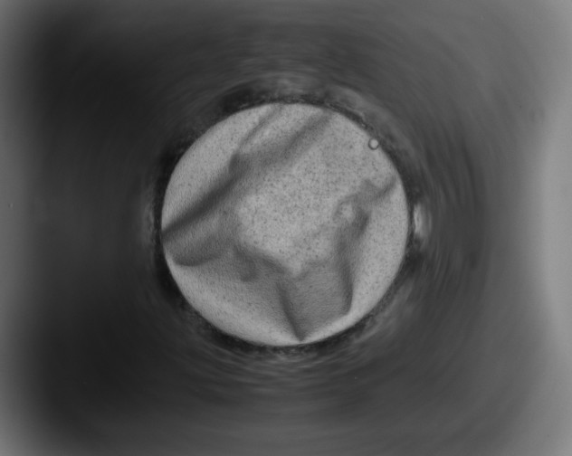 X0000087601203200705181231