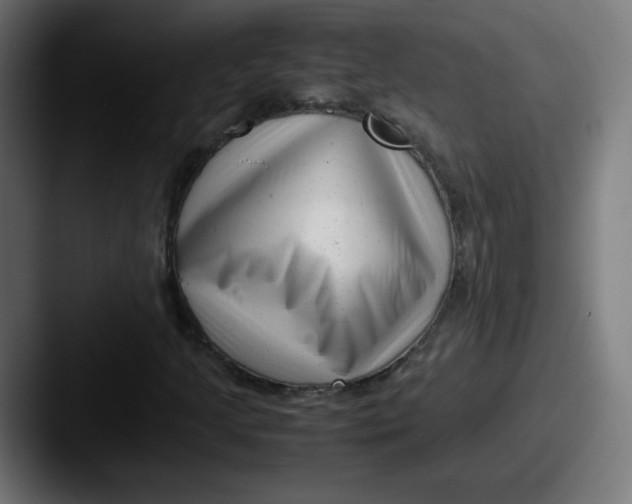 X0000087601205200705181231