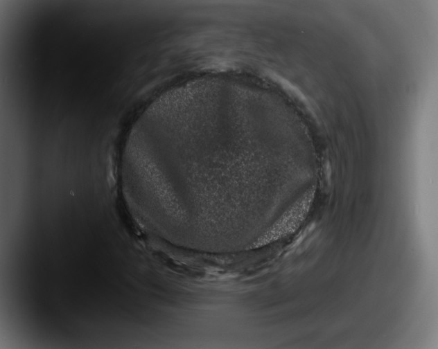 X0000087601206200705181231