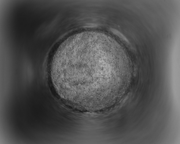 X0000087601208200705181231