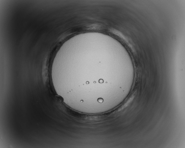 X0000087601211200705181231