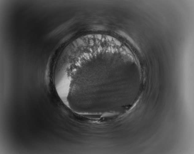 X0000087601213200705181231