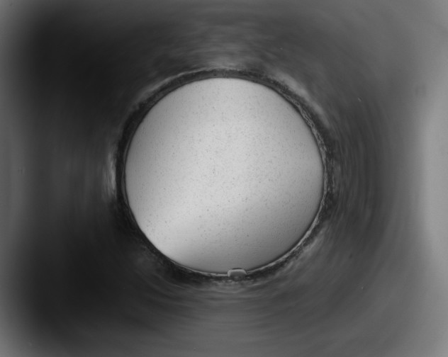 X0000087601214200705181231