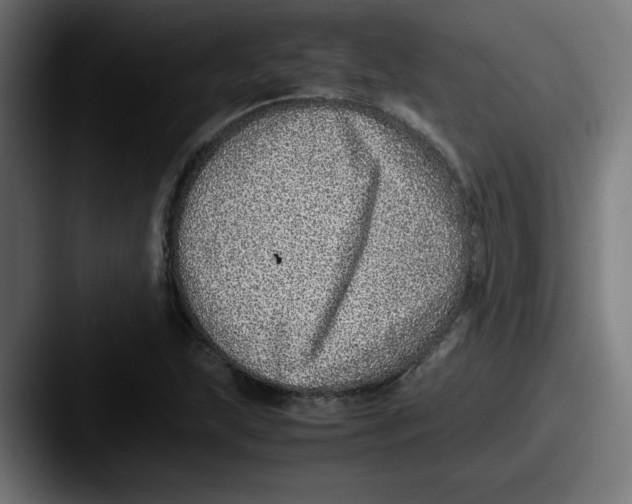 X0000087601215200705181231
