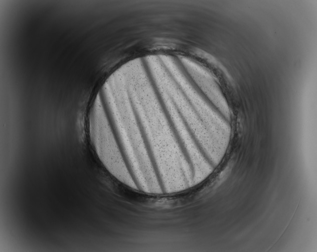 X0000087601217200705181231