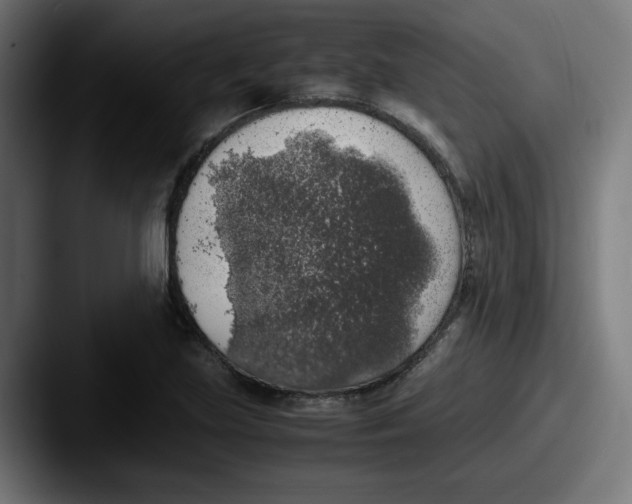 X0000087601219200705181231