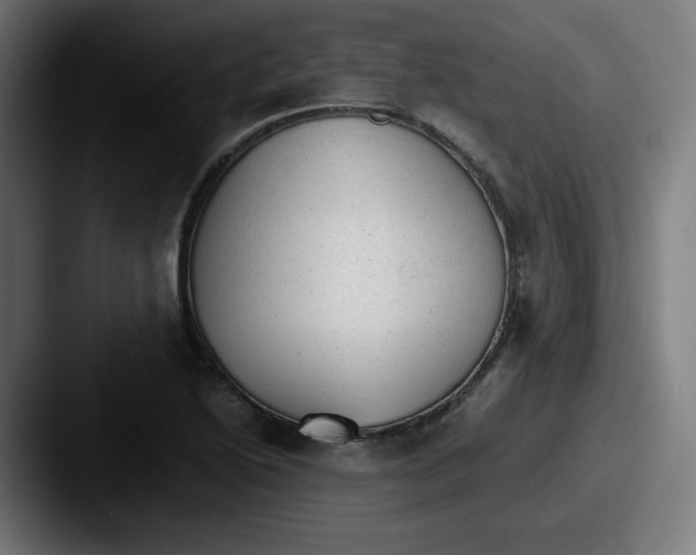 X0000087601222200705181231