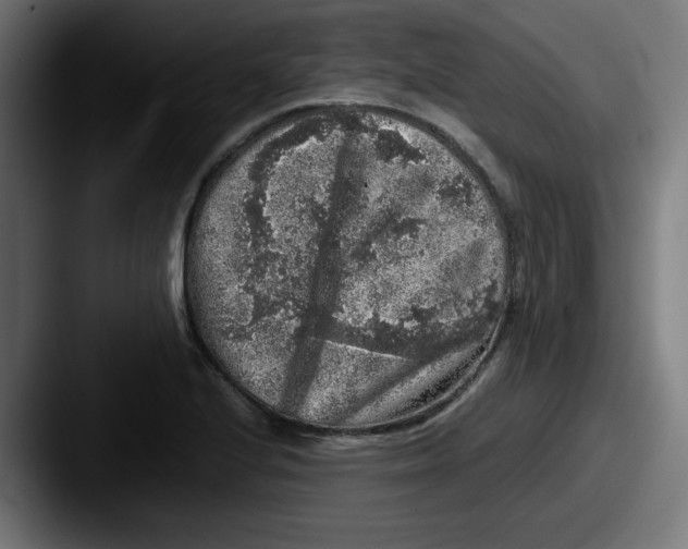 X0000087601224200705181231