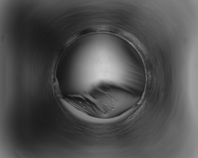 X0000087601225200705181231