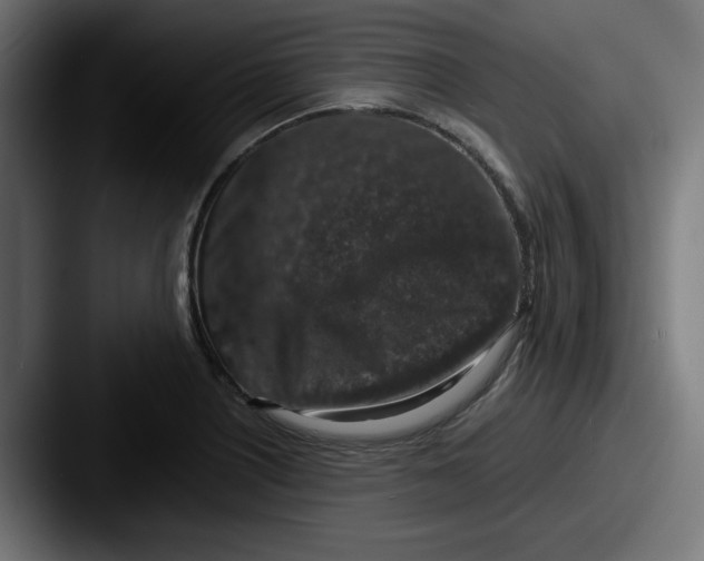 X0000087601226200705181231