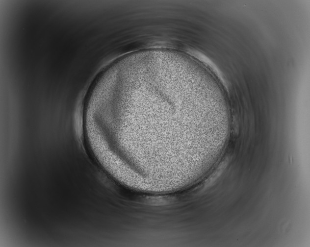 X0000087601227200705181231